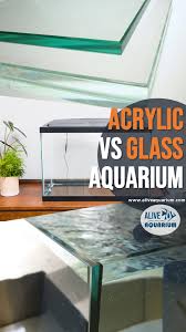 Glass Vs Acrylic Which Aquarium Is Best For You Glass Aquarium Acrylic Aquarium Glass