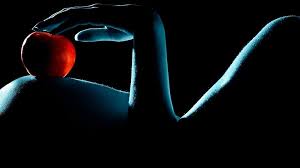 And, we're ready to host you. Temptations Adult Store 8373 Culebra Rd San Antonio Tx 78251 Usa