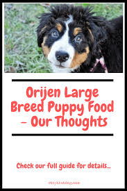 Orijen Large Breed Puppy Food Our Thoughts Stop That Dog
