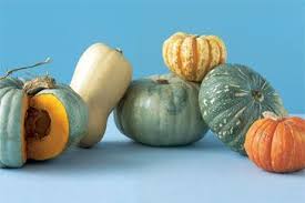 We did not find results for: Pumpkin The Complete Guide