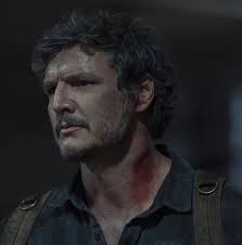 The alternative is a decade of Chris Pratt or Glen Powell. I'd rather watch  Pedro Pascal.