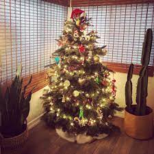 Add charm to your christmas tree while gaining holiday warmth. Danika Brysha Yesterday We Went To The Christmas Tree Facebook