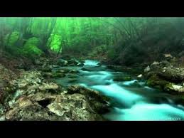 Forest Creek Nature Sounds 11 Hours For Stress Relief Relaxation Sleeping Youtube Nature Sounds Meditation Music Nature