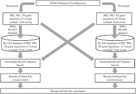 frontiers tracking the evolution of polymerase genes of