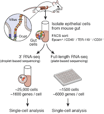 We did not find results for: Single Cell Portal