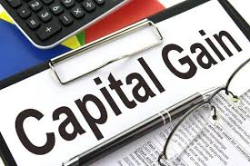 This is what each citizen is to receive if the. Understanding Capital Gains In Your Investment Portfolio