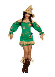 Vote for it here in our diy halloween costume contest , you could win $50! Dreamgirl Women S Storybook Scarecrow Costume Dress Jj S Party House