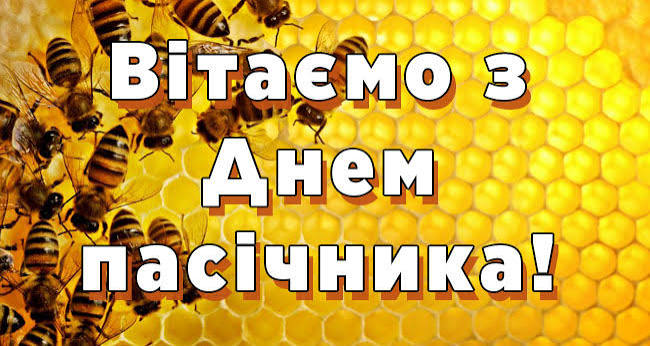 З Днем пасічника 2024: найкращі привітання та листівки до свята - Місто