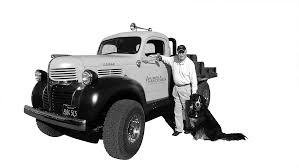 Image result for Lavender 1999 Truck