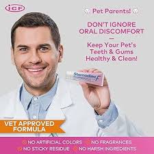 Stomodine F 30 ml : Amazon.ie