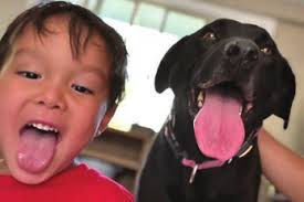 242279 GGLRR NL.indd