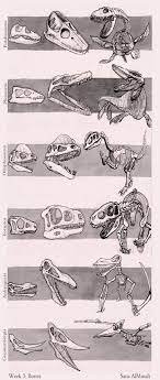 Find professional dinosaur 3d models for any 3d design projects like virtual reality (vr), augmented reality (ar), games, 3d visualization or animation. Dynamic Sketching 2 Cgma 2d Academy Animal Sketches Dinosaur Art Animal Drawings