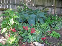 Continue to 2 of 49 below. Shade Gardens How To Garden Where The Sun Doesn T Shine
