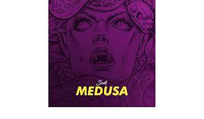 Continuously find and fix vulnerabilities for npm, maven, nuget, rubygems, pypi and more. Medusa Explicit By Snik On Amazon Music Amazon Com