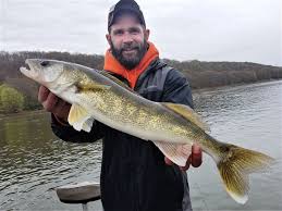 walleye in lake erie and local rivers are different genetic