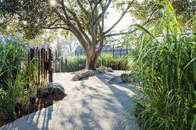 Urban Initiatives Creates Immersive Visitor Experience At Melbourne Zoo Zoo Me Contemporary Landscape Design Landscape Design Landscape Architecture Design
