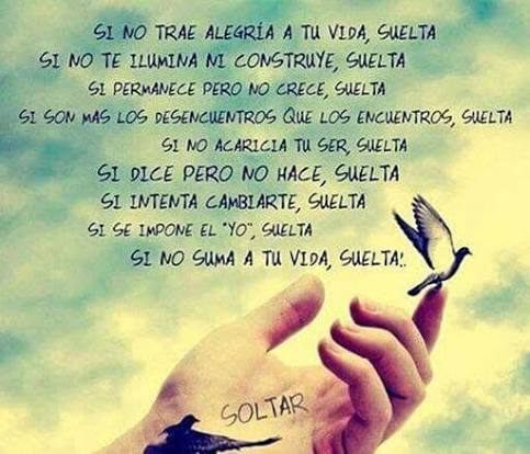 460 ideas de Reflexiones para el alma | pensamientos, frases, frases bonitas
