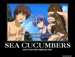 князь тьмы с задней парты Ichiban Ushiro No Daimaou Anime Motivational Posters Read First Post Anime Motivational Posters Anime Demon King