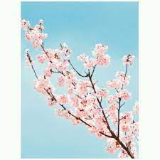 Find and follow posts tagged bunga zainal on tumblr. Instagram Tumblr