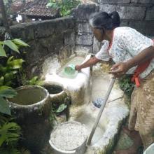 Resep klepon tanpa air kapur sirih oleh maurilla sophianti imron. Jumlah Perajin Kapur Sirih Di Bangli Terus Menyusut Bali Tribune