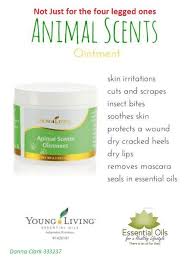 Pin On Essential Oils For A Healthy Lifestyle