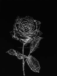 Bunga mawar contoh gambar mewarnai gambar sketsa bunga mawar hitam putih gambar sketsa kumpulan gambar sketsa yang mudah di gambar menggunakan pensil hitam putih yang dapat kamu. Mawar Hitam By Artagum On Deviantart