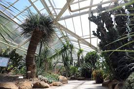 Der botanische garten soll auch bewusstsein schaffen: Der Botanische Garten