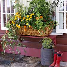 Maybe you would like to learn more about one of these? Flowering Window Box Ideas That Work For Sunny Gardens