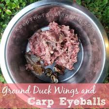 Find a veterinarian who knows the health of your dog, is familiar with raw foods, and can help guide you in the proper. Top Raw Dog Food Brands 2019 Keep The Tail Wagging