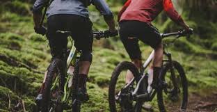 Now with over 20 years of dealing with customers online, the company has set a benchmark for other online bike shops to follow. Best Online Bike Store Reddit 5dd1f4186bdd9 Mountainbikegirl