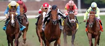Off Track Betting Bet Horse Racing Greyhound Racing Online The mumbai evening races will be welcomed with a lot of excitement. off track betting bet horse racing