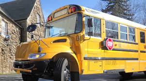 Image result for School Bus Yellow 2019 Transit