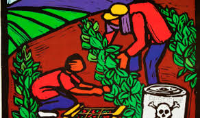 Tc food justice, minneapolis, minnesota. Pugs Redefining Food Justice For Social Change