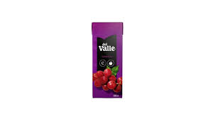 SUCO DE CAXINHA 200ML UVA