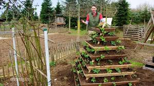 Die zarten im garten ndr 1 welle nord. Nordmagazin Unser Land In 30 Minuten Erdbeeren Garten Garten Gestalten Ideen Garten Deko Ideen