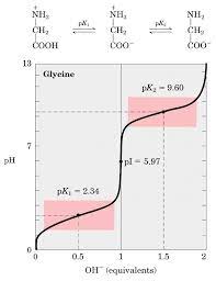 Maybe you would like to learn more about one of these? Http Fac Ksu Edu Sa Sites Default Files Amino Acid Titration Pdf