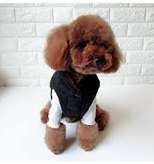 Dog Clothes Pet Clothes Winter Puppy Clothes Teddy Clothes Dog Cotton Clothes Small Dog In 2020 Puppy Clothes Small Dog Clothes Patterns Cute Dog Clothes