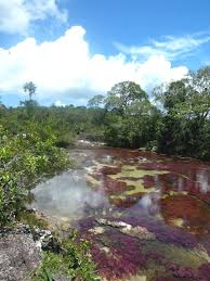 Vous devez indiquer le texte source pour obtenir des informations supplémentaires. Colombia La Macarena National Park About