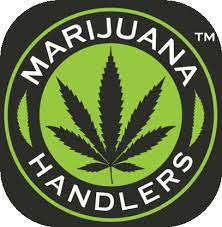 We are your cannabis industry education provider! Marijuana Handlers Marijuana Handlers