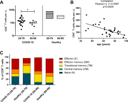 Maybe you would like to learn more about one of these? Impaired Cytotoxic Cd8 T Cell Response In Elderly Covid 19 Patients Mbio