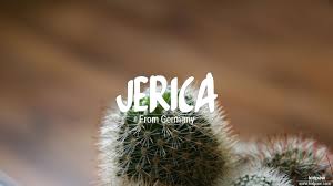 Is the name ariella in the bible? Christian Baby Girl Name Jerica Meanings Religion Origin Details