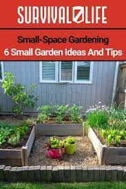 6 Small Garden Ideas And Tips Small Space Gardening Small Space Gardening Small Gardens Small Garden