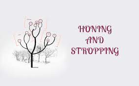 Honing And Stropping By Izza R Arcamo