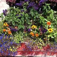 You can check the working days and hours below before going. La Crescenta Nursery Garden Center In La Crescenta