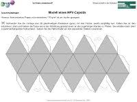 Und wenn sie nun lust haben, das oben abgebildete modell der burg nachzubauen, dann können sie hier den bastelbogen dazu herunterladen. Ausschneidebogen Modell Eines Hpv Capsids