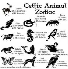 Variantes en la evolución de la esclerosis múltiple. 97 Ideas De Acuario Mi Signo Del Zoodiaco Acuario Signos Signos De Aire