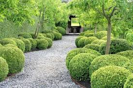 A Path Of Mixed Buxus Balls Stonefields Paul Bangay S Home Hydrangea Landscaping Garden Inspiration Garden Landscape Design