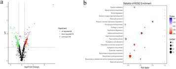 Your doctor might limit the number of injections because repeated cortisone can damage tendons and/or cartilage. Heat Wave Event Facilitates Defensive Responses In Invasive C3 Plant Ambrosia Artemisiifolia L Under Elevated Co2 Concentration To The Detriment Of Insect Herbivores Biorxiv
