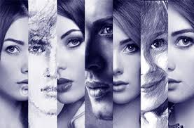 the slashed canvas/home/contemporary fiction book