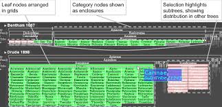 Image result for Aframmi